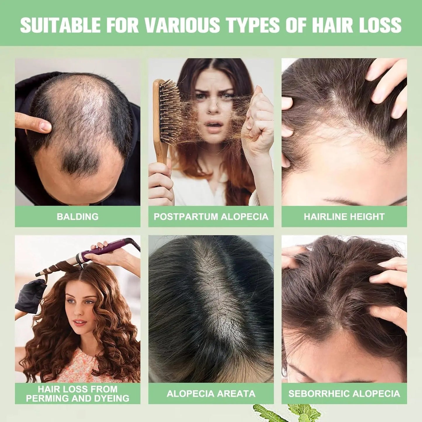 Organic Rosemary Oil Shampoo – Boosts Hair Growth, Thickness & Volume for Men & Women